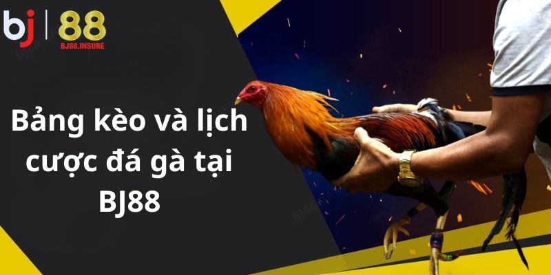 Người chơi dễ dàng theo dõi biến động tỷ lệ, lịch đấu theo từng khung giờ trong sảnh đá gà.