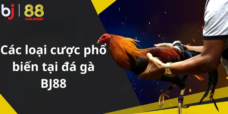 Từ cược Meron – Wala đến cược hiệp, người chơi có thể tùy chọn linh hoạt theo phong cách.