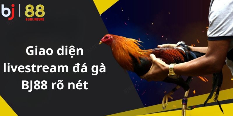 Người chơi có thể xem trực tiếp trận đấu từ Thomo, SV388 với âm thanh – hình ảnh chân thực.