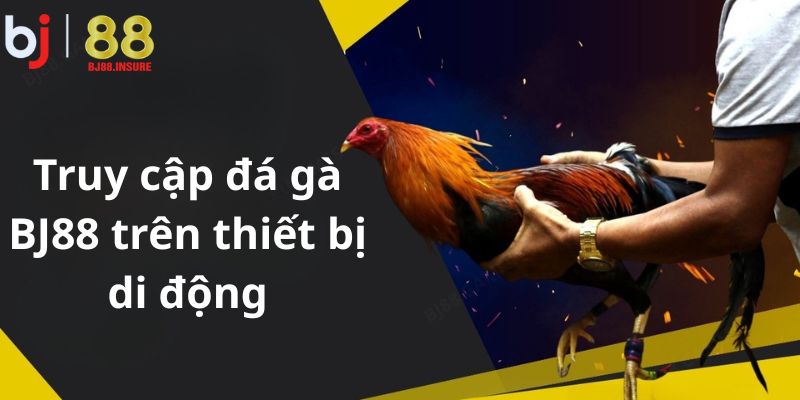 Người dùng có thể xem – cược đá gà tại BJ88 bất cứ lúc nào, chỉ cần có kết nối internet.