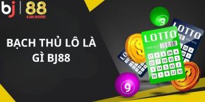 Bạch thủ lô là gì BJ88