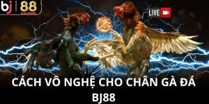 Cách vô nghệ cho chân gà đá BJ88