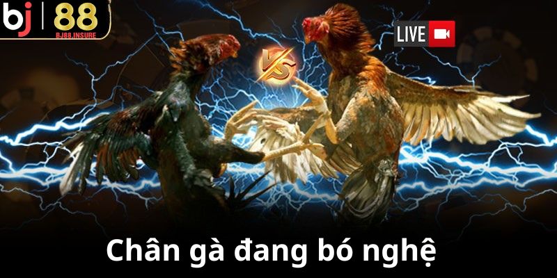 Sau khi bôi nghệ nên bó nhẹ để nghệ thấm đều