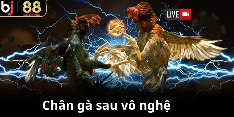 Vô nghệ giúp chân gà đỏ và cứng hơn