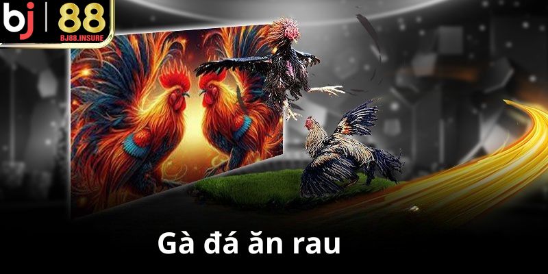 Rau xanh giúp hỗ trợ tiêu hóa