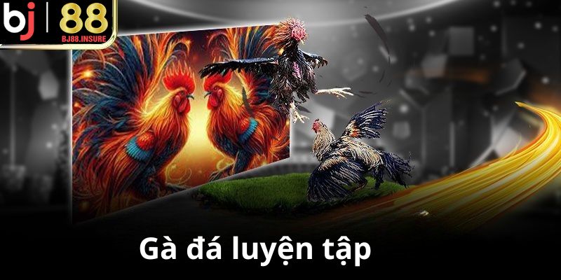 Tập luyện cần ăn đúng giờ