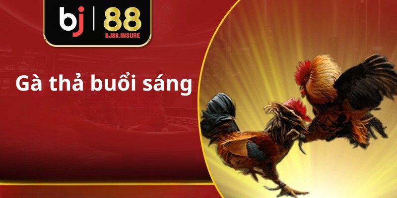 Thả gà đá chuẩn giúp gà linh hoạt hơn