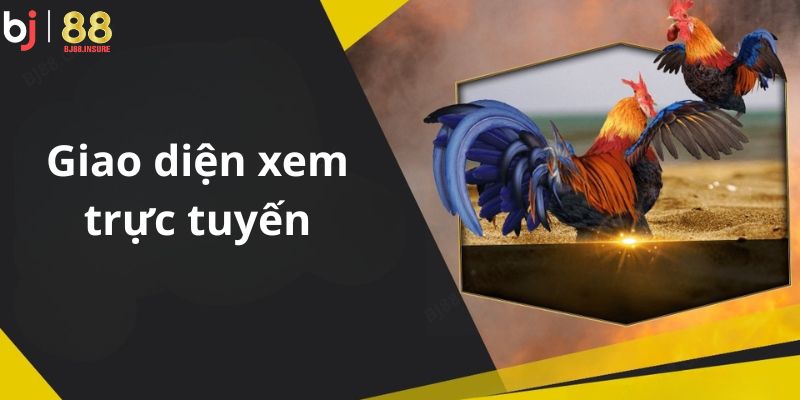Xem đá gà có bị bắt không khi xem đá gà qua nền tảng quốc tế