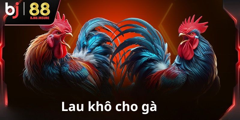 Sau khi tắm cần phơi nắng nhẹ để khô lông