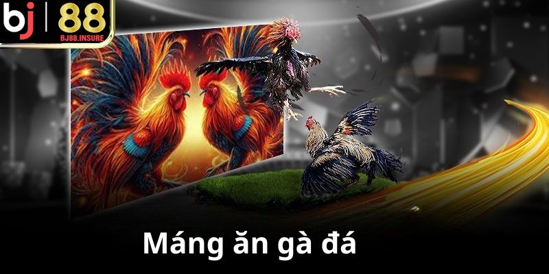 Máng ăn sạch tránh tiêu chảy