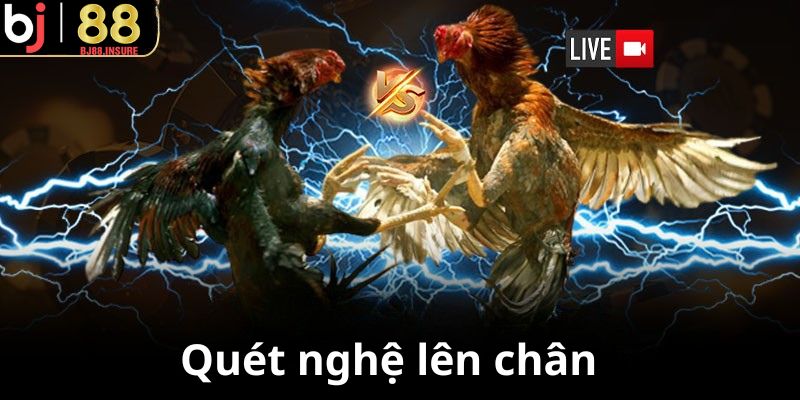 Thoa nghệ cần đều tay, tránh dính vào vảy mềm