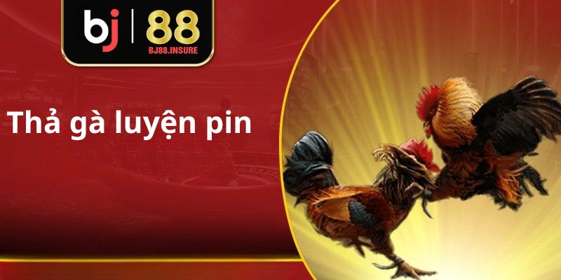 Gà vần nên được thả trước tập