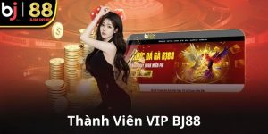 Thành viên VIP BET88