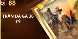 Trận đá gà 36 tỷ BJ88