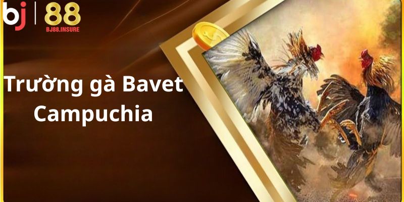 Trận đấu hợp pháp vì tổ chức tại nước ngoài