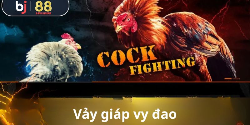 Vảy giáp – thế gà đá mé độc hiểm